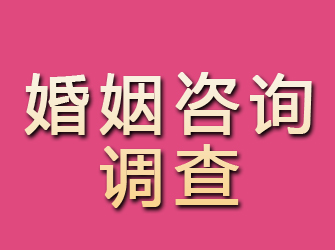 乌伊岭婚姻咨询调查